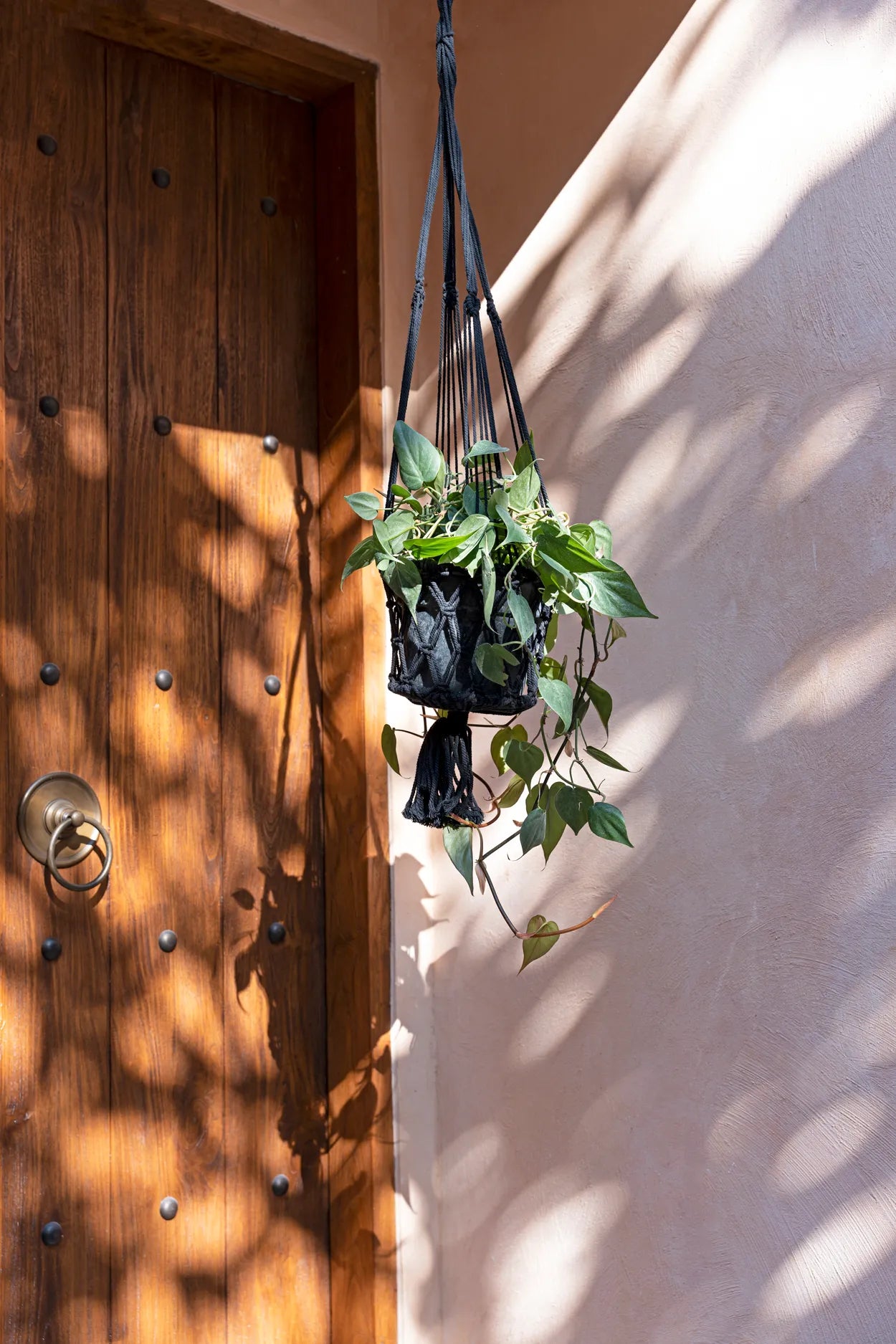 The Macrame Plant Holder - Black - L in cotton — handmade luxury planter curated by Laiyahome — view 2