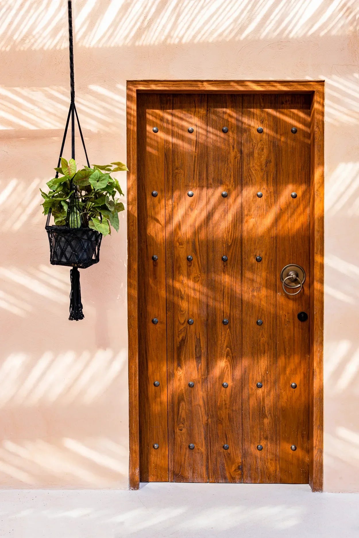 The Macrame Plant Holder - Black - M in cotton — handmade luxury planter curated by Laiyahome — view 2