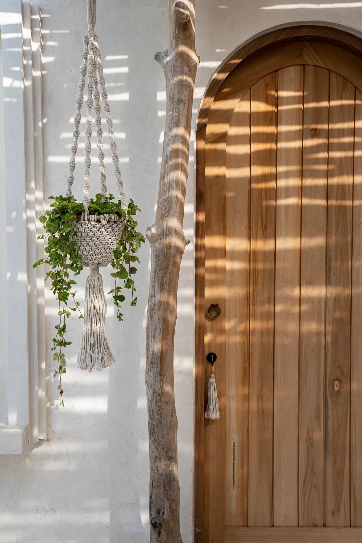 The Twisted Macramé Plant Holder - Natural White -S