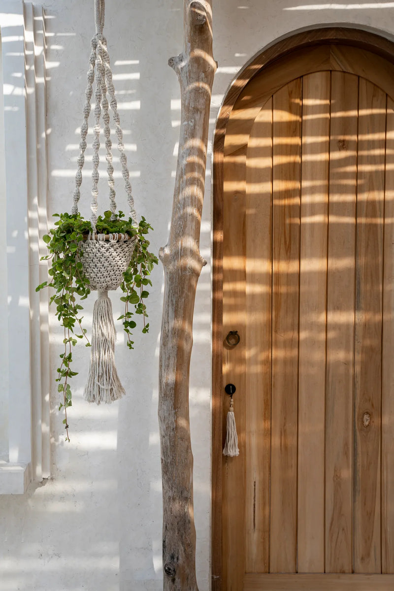 The Twisted Macramé Plant Holder - Natural White -S