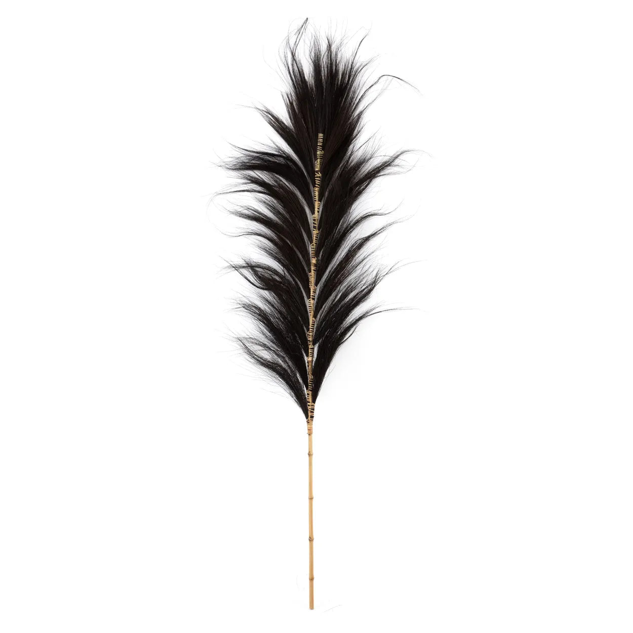 La magnifique feuille - Noire - Lot de 6