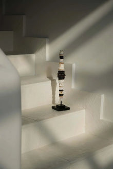 The Money Shell on Stand - Black White - M