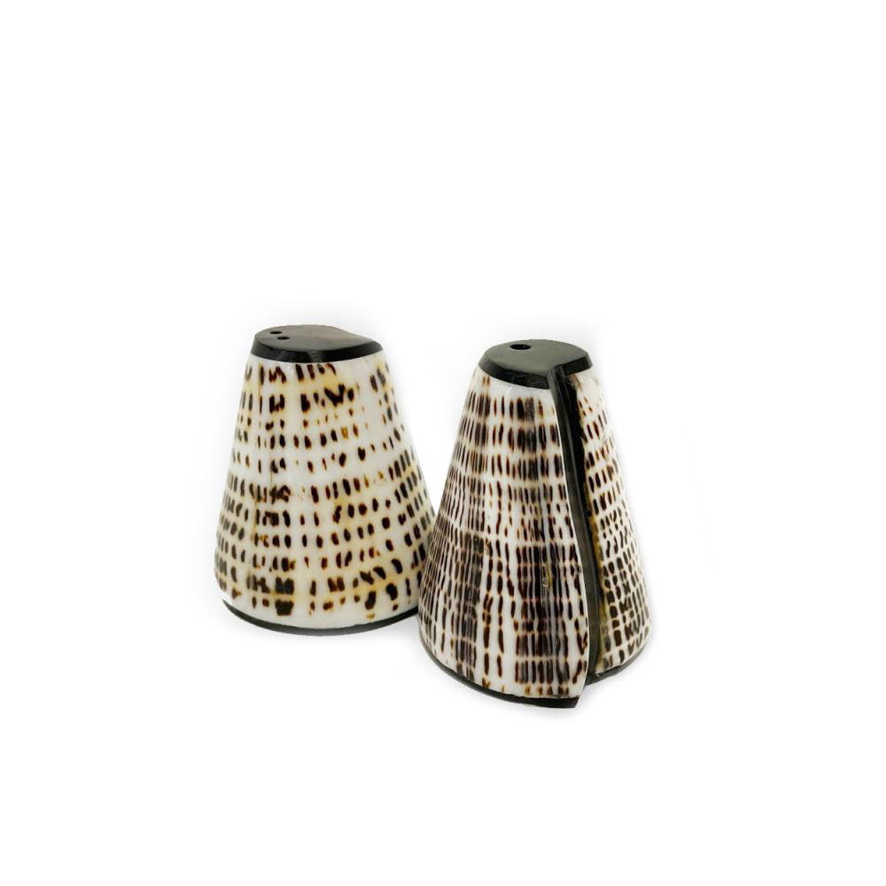 The Salt & Peppa Shell - Set of 2 in shell — handmade luxury salt and pepper set curated by Laiyahome — view 2