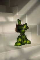 The Bondi Holder #2 - Square in wood — handmade luxury vase curated by Laiyahome — view 2