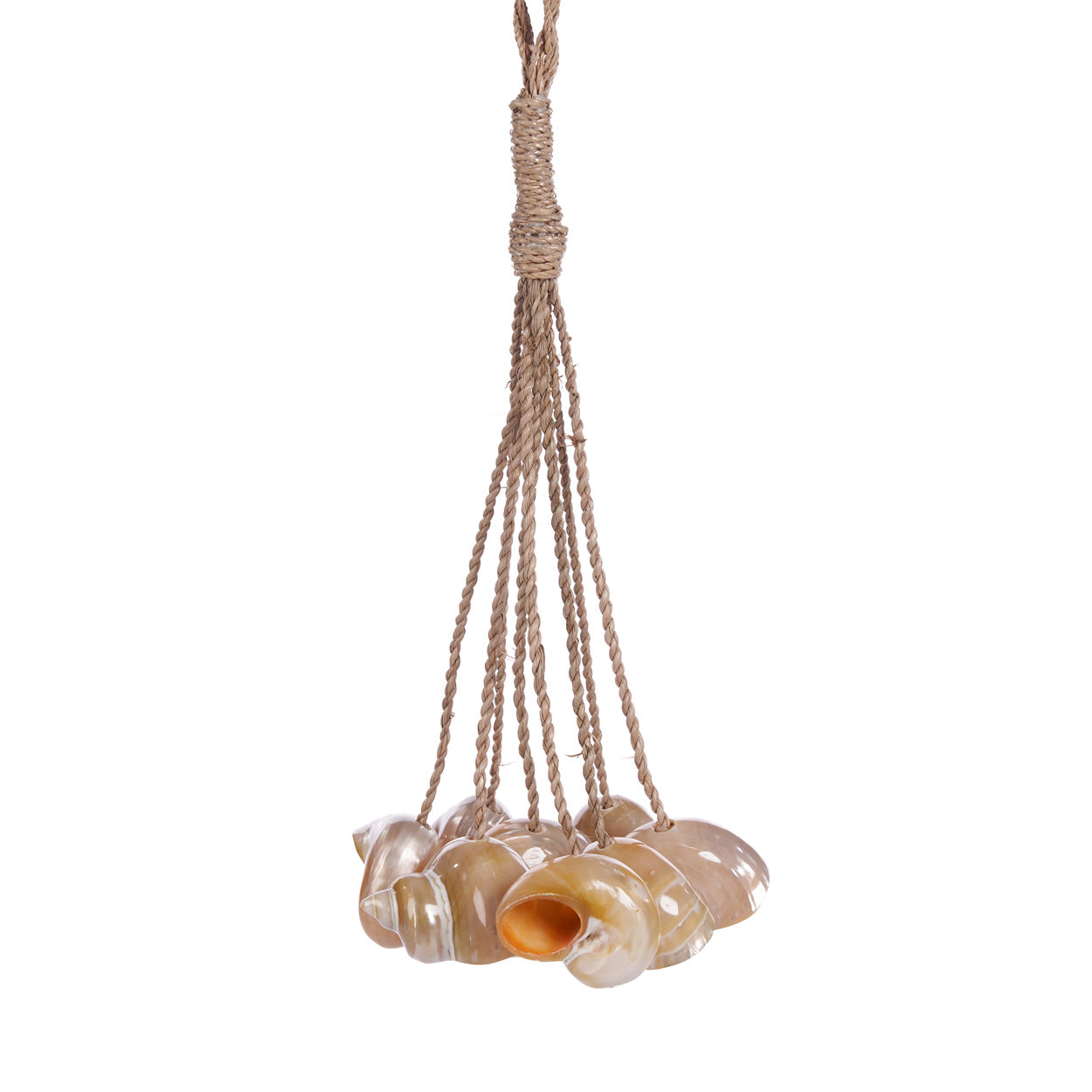 The Conch Shell Tassel - Natural – shell wall decoration in natural – product view 1