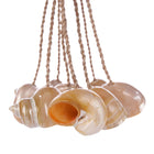 The Conch Shell Tassel - Natural – shell wall decoration in natural – product view 2