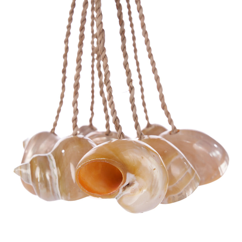 The Conch Shell Tassel - Natural – shell wall decoration in natural – product view 2