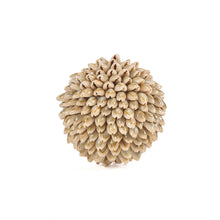 The Oluolu Shell Ball - S in shell — handmade luxury decorative object curated by Laiyahome — view 2