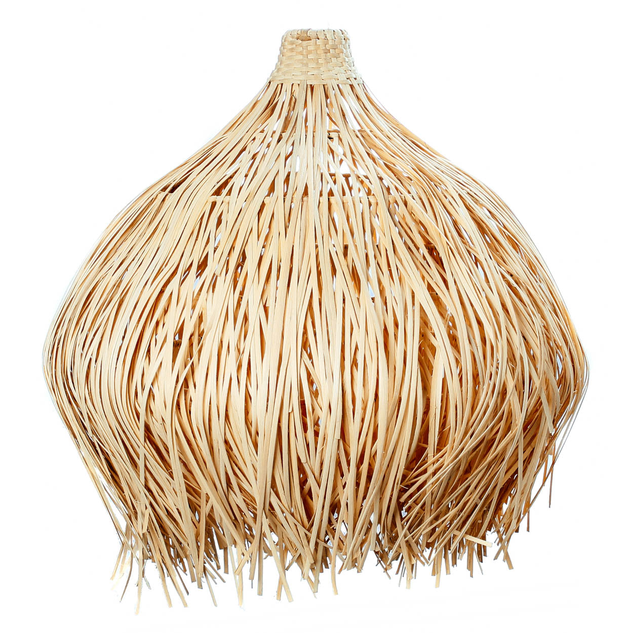 Pendentif Figuier à Poils Nus - Naturel - L