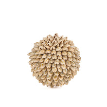 The Oluolu Shell Ball - S in shell — handmade luxury decorative object curated by Laiyahome