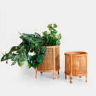 The Arteaga Plant Pot (Set of 2) — boho-modern planter in natural bamboo from Laiyahome