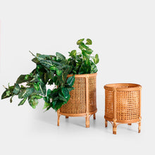 The Arteaga Plant Pot (Set of 2) — boho-modern planter in natural bamboo from Laiyahome