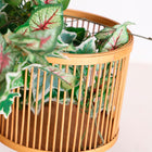 The Arteaga Plant Pot (Set of 3) — boho-modern planter in natural bamboo from Laiyahome