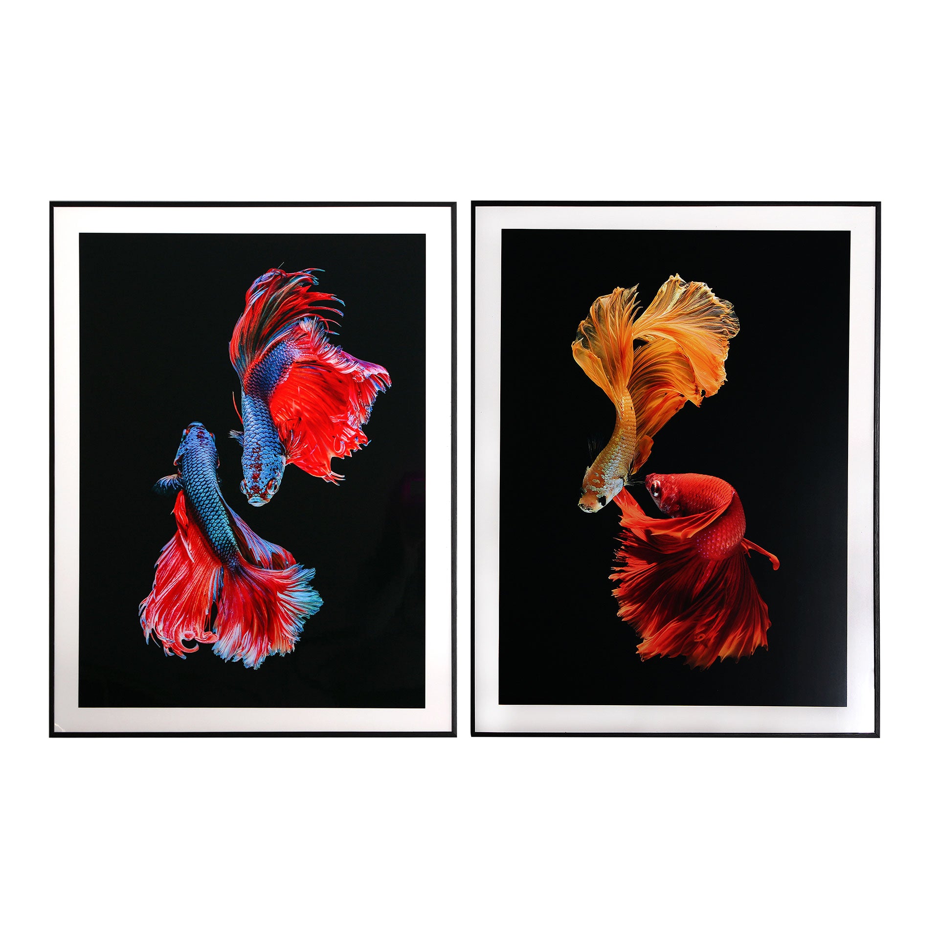 The Elka Wall Art (Set of 2) — contemporary wall art in engineered wood with veneer finish from Laiyahome
