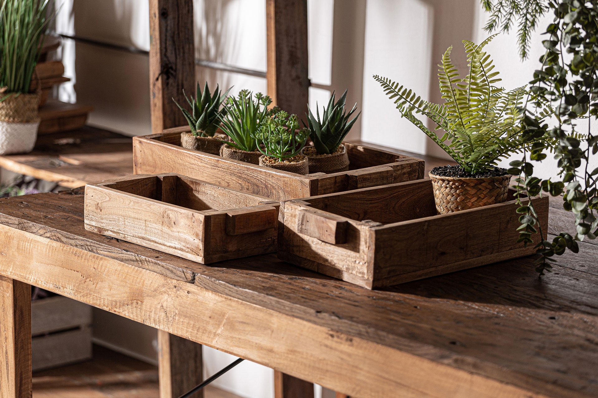 The Akviran Box (Set of 3) — global-modern decorative box in mahogany wood from Laiyahome