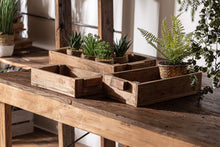 The Akviran Box (Set of 3) — global-modern decorative box in mahogany wood from Laiyahome