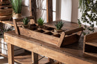 The Bandeja Akviran Plant Pot — global-modern planter in mahogany wood from Laiyahome