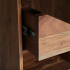 BLESLE WARDROBE — Laiyahome