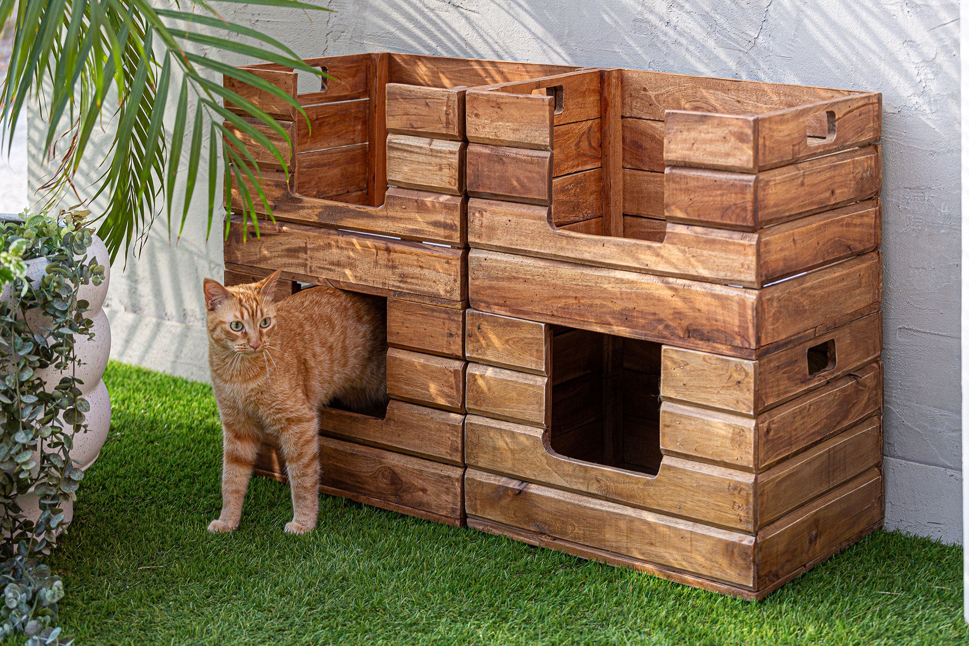 The Akviran Pet Bed — global-modern accent piece in mahogany wood from Laiyahome