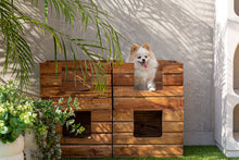 The Akviran Pet Bed — global-modern accent piece in mahogany wood from Laiyahome