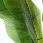 The Bananera Plant — contemporary decorative botanical in plastic from Laiyahome