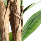 The Bananera Plant — contemporary decorative botanical in plastic from Laiyahome