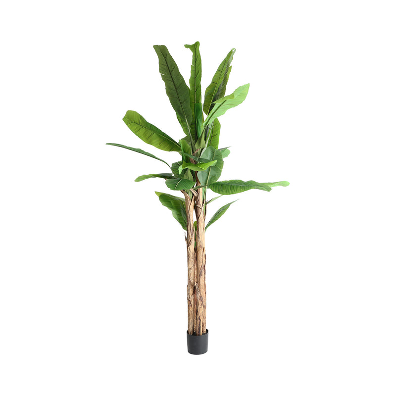 The Bananera Plant — contemporary decorative botanical in plastic from Laiyahome